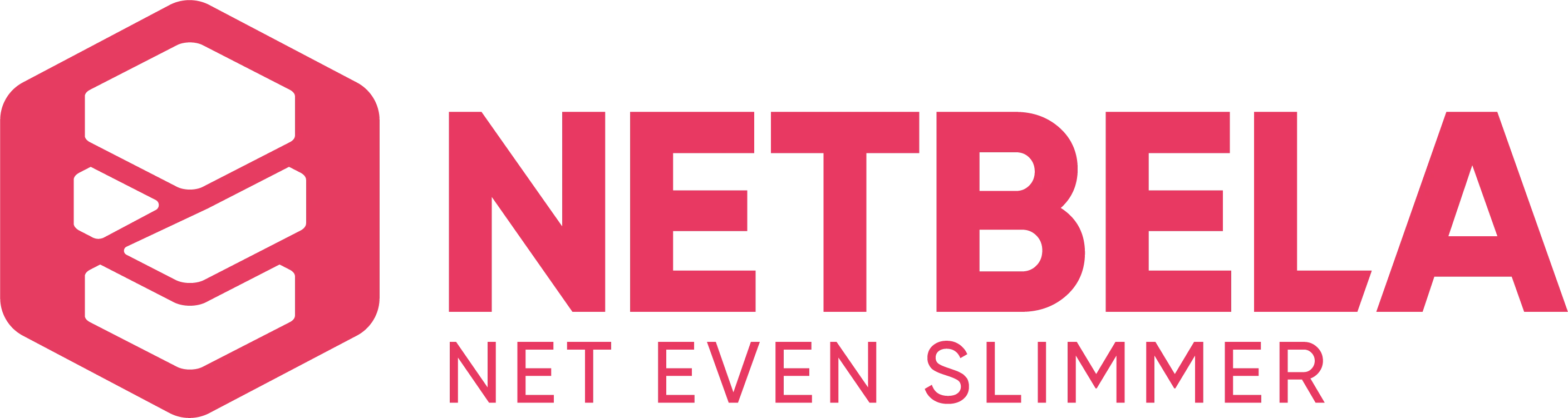 Netbela Logo