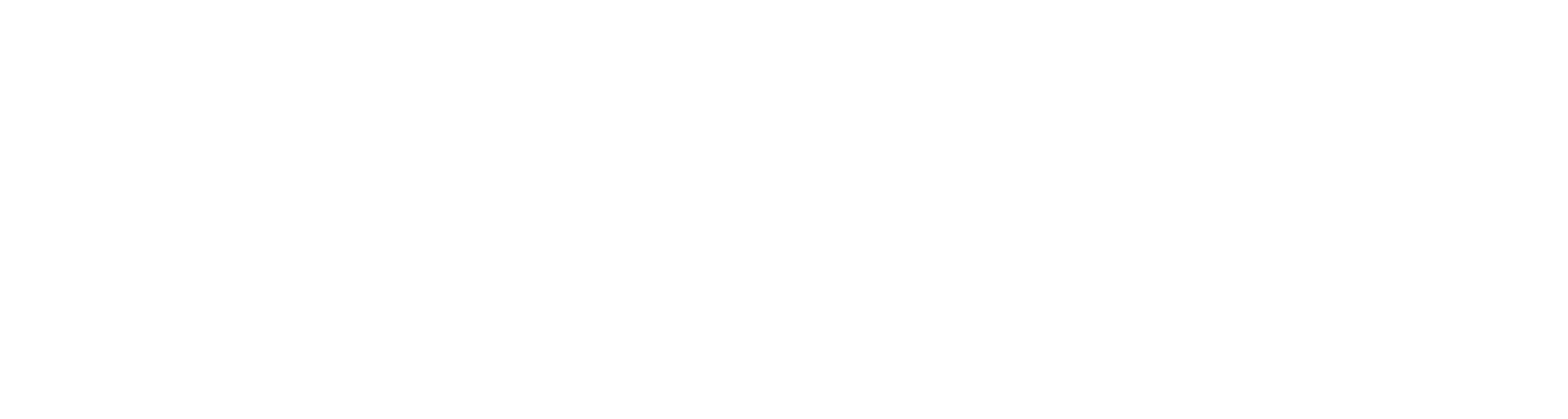 Netbela Logo